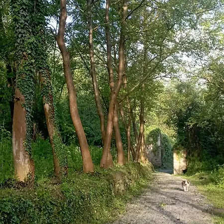 Apartamento Casa Luna Monesiglio