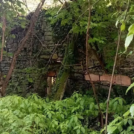 Apartamento Casa Luna Monesiglio